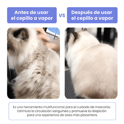 CEPILLO QUITAPELOS A VAPOR" MASCOTAS LIMPIAS"