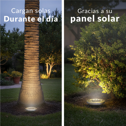 LumiPath™La luz que te da la bienvenida a casa.